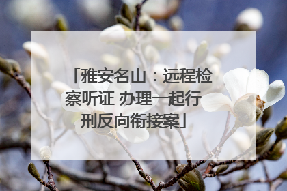 雅安名山：远程检察听证 办理一起行刑反向衔接案