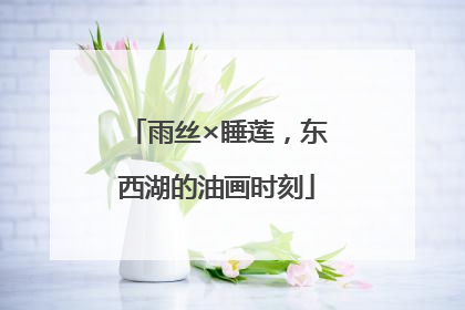雨丝×睡莲，东西湖的油画时刻
