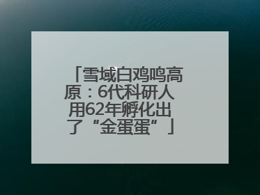 雪域白鸡鸣高原：6代科研人用62年孵化出了“金蛋蛋”