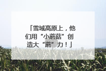 雪域高原上，他们用“小蘑菇”创造大“蘑”力！