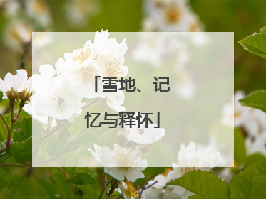 雪地、记忆与释怀