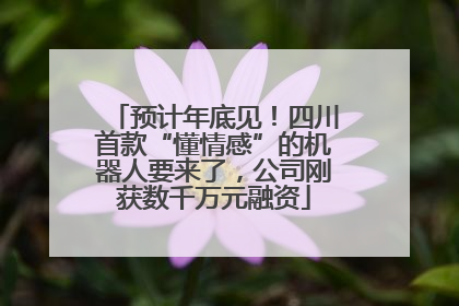 预计年底见！四川首款“懂情感”的机器人要来了，公司刚获数千万元融资