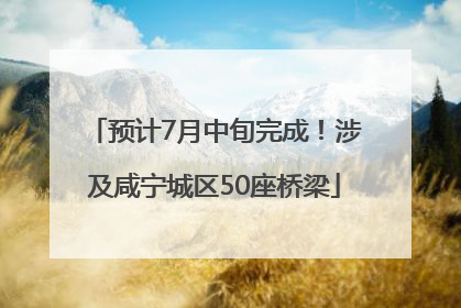 预计7月中旬完成！涉及咸宁城区50座桥梁