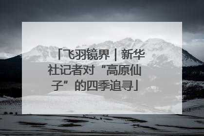 飞羽镜界｜新华社记者对“高原仙子”的四季追寻