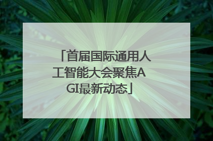 首届国际通用人工智能大会聚焦AGI最新动态