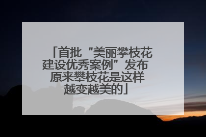 首批“美丽攀枝花建设优秀案例”发布 原来攀枝花是这样越变越美的