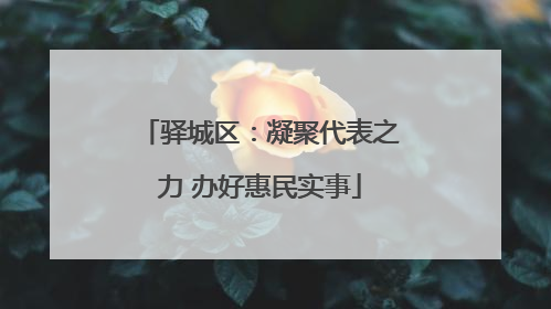 驿城区：凝聚代表之力 办好惠民实事