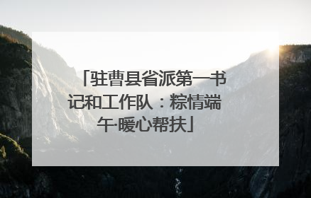 驻曹县省派第一书记和工作队：粽情端午·暖心帮扶