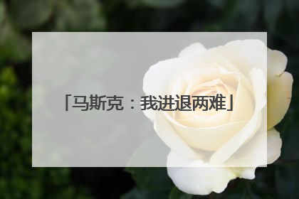 马斯克：我进退两难
