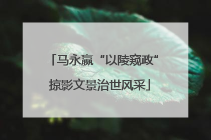 马永嬴“以陵窥政” 掠影文景治世风采