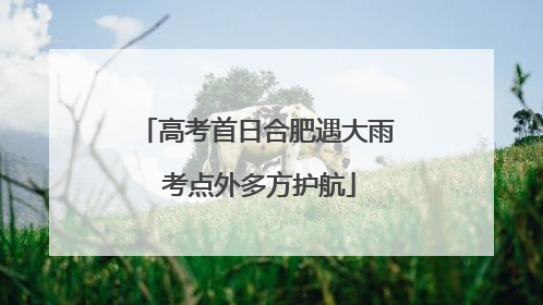 高考首日合肥遇大雨 考点外多方护航