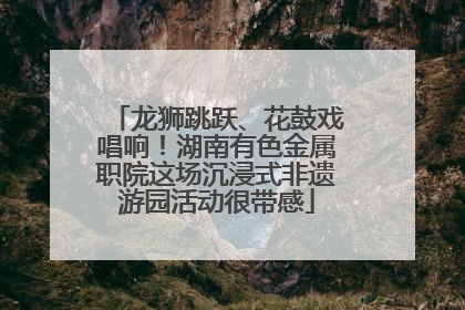 龙狮跳跃、花鼓戏唱响！湖南有色金属职院这场沉浸式非遗游园活动很带感