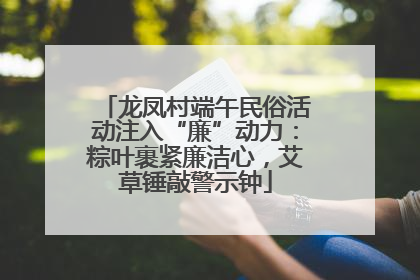 龙凤村端午民俗活动注入“廉”动力：粽叶裹紧廉洁心，艾草锤敲警示钟