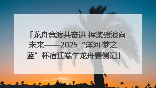龙舟竞渡共奋进 挥桨劈浪向未来——2025“洋河·梦之蓝”杯宿迁端午龙舟赛侧记