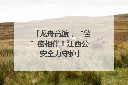 龙舟竞渡，“警”密相伴！江西公安全力守护