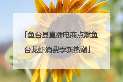 鱼台县直播电商点燃鱼台龙虾消费季新热潮