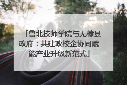 鲁北技师学院与无棣县政府：共建政校企协同赋能产业升级新范式