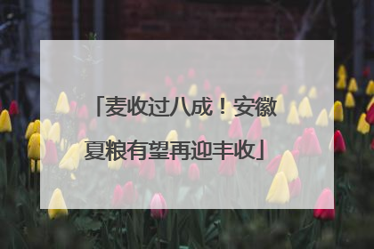 麦收过八成！安徽夏粮有望再迎丰收