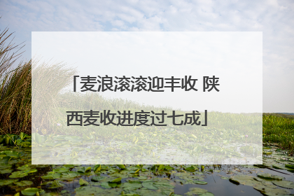 麦浪滚滚迎丰收 陕西麦收进度过七成