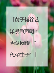 黄子韬徐艺洋紧急声明：否认网传 “代孕生子”