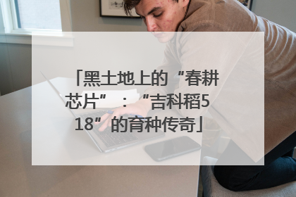 黑土地上的“春耕芯片”：“吉科稻518”的育种传奇