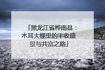 黑龙江省桦南县：木耳大棚里的丰收盛景与共富之路