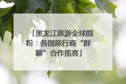 黑龙江旅游全球圈粉：各国旅行商“群聊”合作揽客