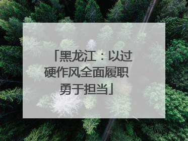 黑龙江：以过硬作风全面履职勇于担当