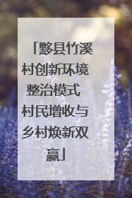 黟县竹溪村创新环境整治模式 村民增收与乡村焕新双赢