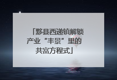 黟县西递镇解锁产业“丰景”里的共富方程式