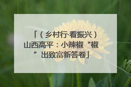 （乡村行·看振兴）山西高平：小辣椒“椒”出致富新答卷