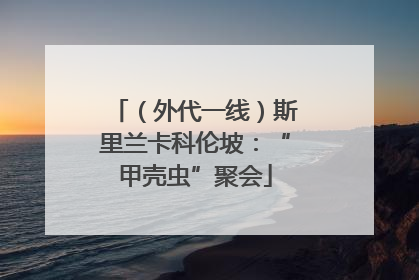 （外代一线）斯里兰卡科伦坡：“甲壳虫”聚会