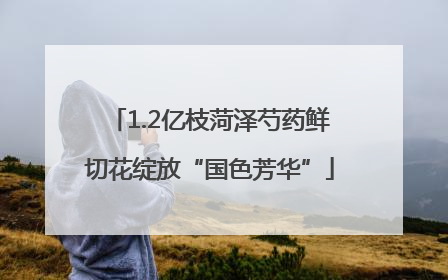 1.2亿枝菏泽芍药鲜切花绽放“国色芳华”