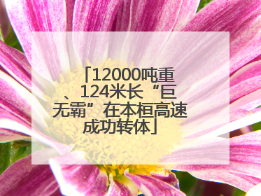 12000吨重、124米长“巨无霸”在本桓高速成功转体