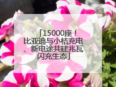15000座！比亚迪与小桔充电、新电途共建兆瓦闪充生态