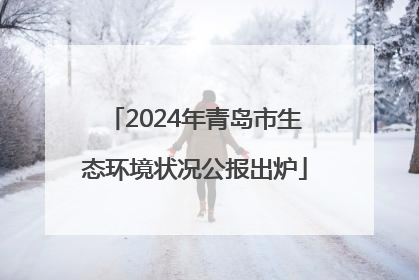 2024年青岛市生态环境状况公报出炉