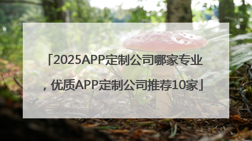2025APP定制公司哪家专业，优质APP定制公司推荐10家