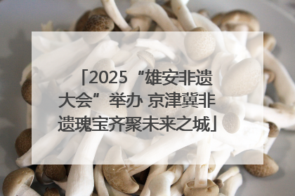 2025“雄安非遗大会”举办 京津冀非遗瑰宝齐聚未来之城