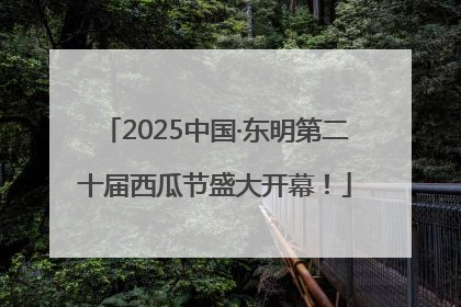 2025中国·东明第二十届西瓜节盛大开幕！
