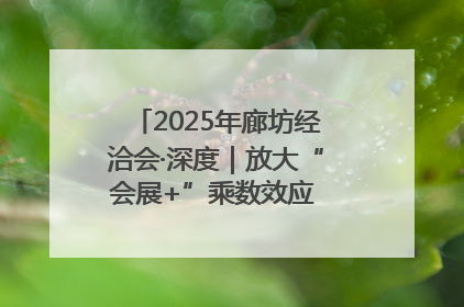 2025年廊坊经洽会·深度｜放大“会展+”乘数效应 打造消费新场景