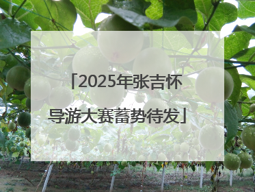 2025年张吉怀导游大赛蓄势待发