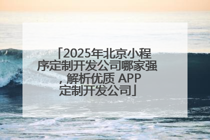2025年北京小程序定制开发公司哪家强，解析优质 APP 定制开发公司
