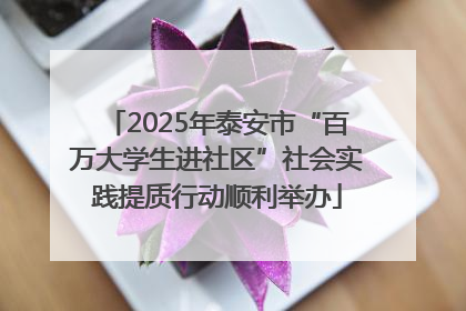 2025年泰安市“百万大学生进社区”社会实践提质行动顺利举办
