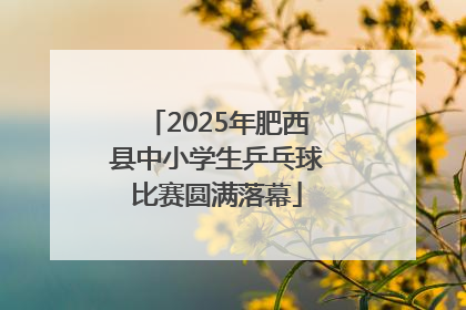 2025年肥西县中小学生乒乓球比赛圆满落幕