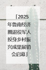 2025年鲁南经济圈退役军人投身乡村振兴成果展销会启幕