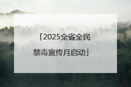 2025全省全民禁毒宣传月启动