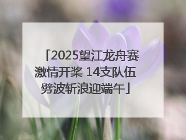 2025望江龙舟赛激情开桨 14支队伍劈波斩浪迎端午