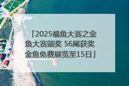 2025福鱼大赛之金鱼大赛颁奖 56尾获奖金鱼免费展览至15日
