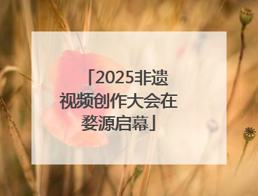 2025非遗视频创作大会在婺源启幕