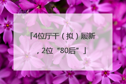 4位厅干（拟）履新，2位“80后”